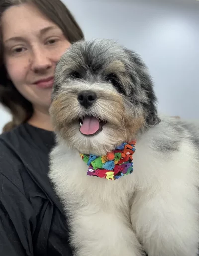 Happy woman holding a Mixed Breed Dog with a colorful bowtie groomed by Sassy Paws Dog Grooming in New Jersey